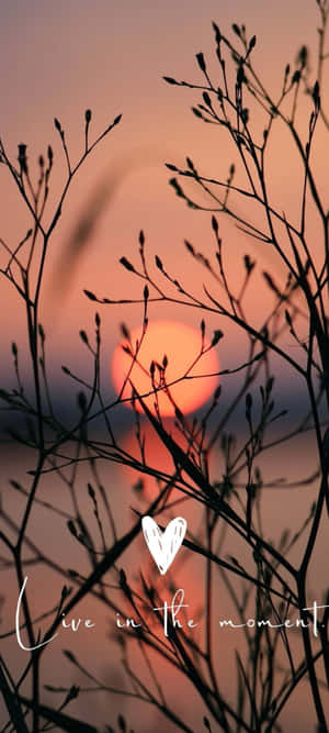Solnedgangssilhuet Inspiration — Oppo Find N3 Wallpapers