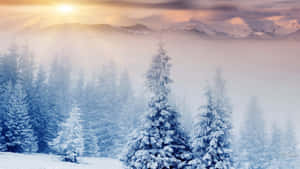 vintereventyrland Baggrund — Vinteræstetik Wallpapers