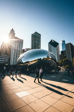 Solrigt The Bean Chicago — Xiaomi Pad 7 Ultra Wallpapers