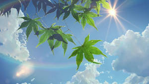 Sommeræstetik Sol og Himmel baggrund — Sommer æstetik Wallpapers