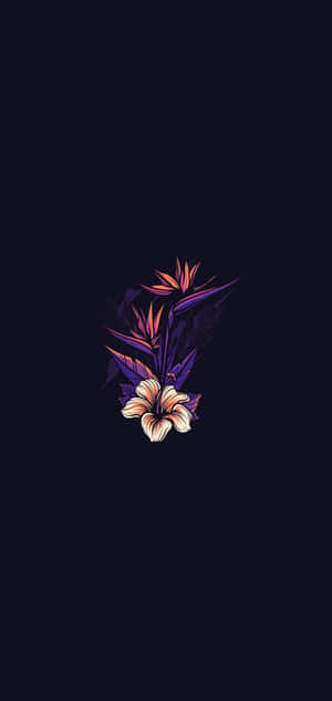 sort baggrund med en lilla blomst på — Nokia C210 Wallpapers