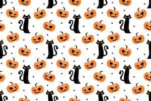 Billeder af sorte katte — Sort kat Wallpapers
