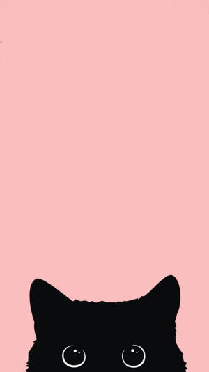 Sort kat iPhone 12 baggrund — iPhone 12 Wallpapers