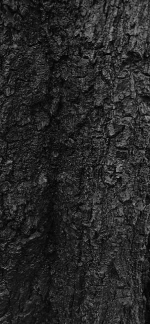 Sort struktureret træbark tapet — 1320x2868 Wallpapers
