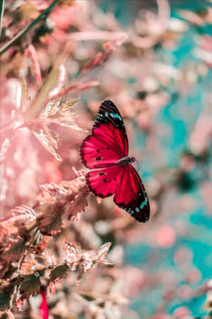 "Spændende sommerferie i tropisk paradis" — Smuk æstetik Wallpapers
