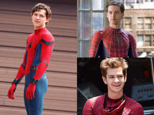 Spiderman billeder — Edderkoppenmand Wallpapers