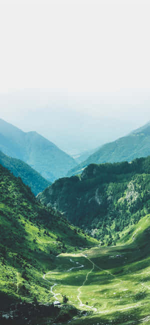 Natur lodret — Xiaomi 17 Ultra Wallpapers