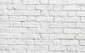 Stenvæg med hvide mursten — Hvid æstetik Wallpapers