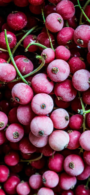 Frugtbilleder — Zenfone Wallpapers
