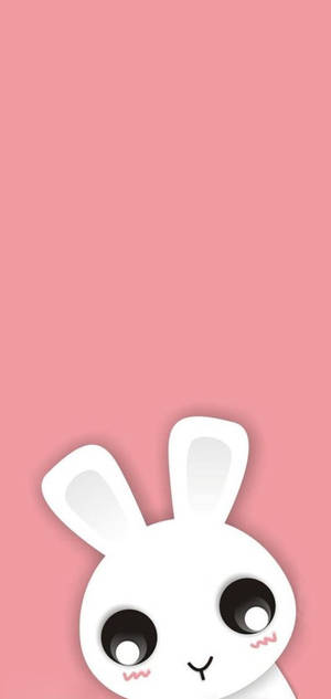 Storøjet nuttet kanin iPhone-baggrund — iPhone X Wallpapers