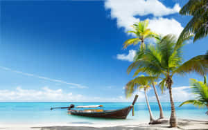 Strandscene med kokospalmer og båd — Sommer Wallpapers