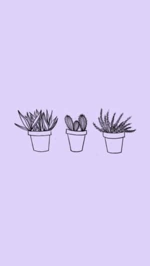 Lavendel Pastel Lilla Æstetisk Baggrund