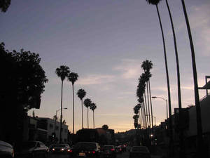 Sunset Boulevard lys lilla himmel baggrund