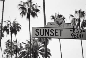 Sunset Boulevard Sort og Hvid baggrundsbillede