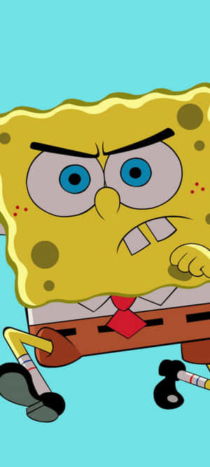 Sjove SvampeBob billeder — Honor Win Turbo Wallpapers