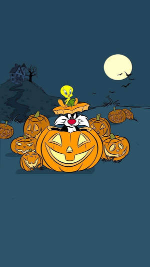 Sylvester på græskar tegneserie Halloween tapet