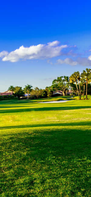 Iphone X golfbanebaggrund — POCO M8 Wallpapers