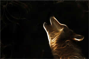 Galakse ulv baggrund — Galakse løve GIF Wallpapers