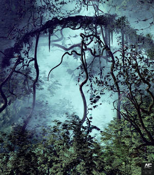 Tåget skov i jungle med vedvarende tågedække tapet — Galaxy Z Fold Wallpapers