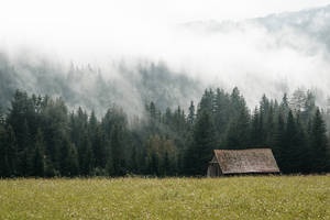 Tåget skov og lade