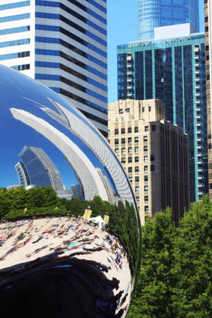 The Bean Chicago tæt på — Xiaomi Pad 7S Pro 12.5 Wallpapers
