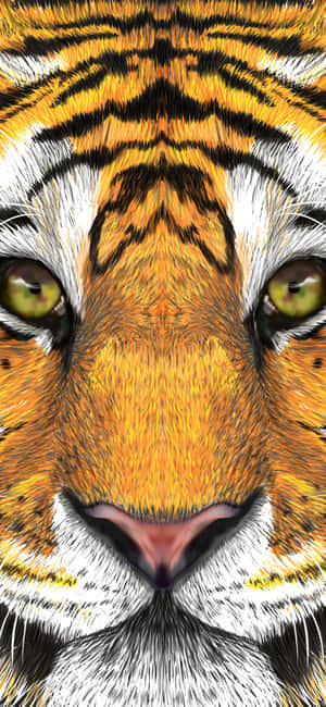 Tigeransigtsbilleder — OnePlus Nord 6 Wallpapers