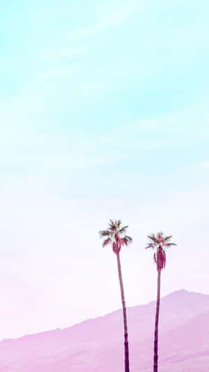 Minimalistisk æstetisk baggrund — Minimalistisk æstetik Wallpapers