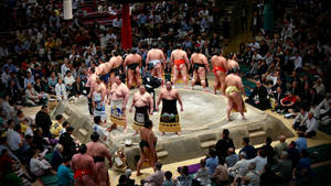 Japansk sumobrydningsarena baggrund — Pro Display XDR Wallpapers