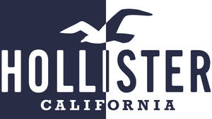 Tofarvet Hollister-logo wallpaper — Chromebook Wallpapers