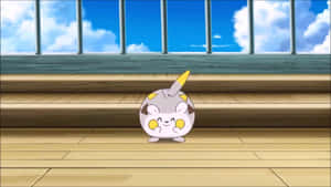 Togedemaru ser spændt ud — Pokemon Wallpapers