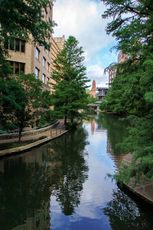 Træer langs San Antonio River Walk — Xiaomi Pad 8 Pro Wallpapers