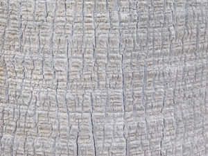 detalje,træ,baggrund,materiale,forvitret,stamme,abstrakt,træ,tekstur,gammel,overflade,naturlig,tømmer,træ,mønster,ru,aldring,plante,nærbillede,miljø — Abstrakt Wallpapers