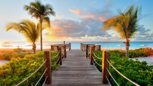 Træstrandpromenade tapet. — 1600x900 Wallpapers