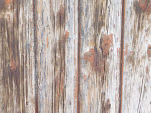 træ, struktur, natur, panel, gulv, eg, design, mønster, baggrund, brun, gammel, materiale, tapet, arkitektur, interiør, gulvbelægning, planke, vintage, overflade, naturlig — Natur Wallpapers