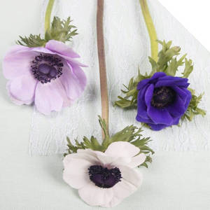 Tre anemoneblomster tapet — 1:1 Wallpapers