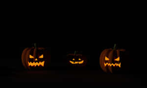 Halloween græskar baggrund — Halloween GIF Wallpapers