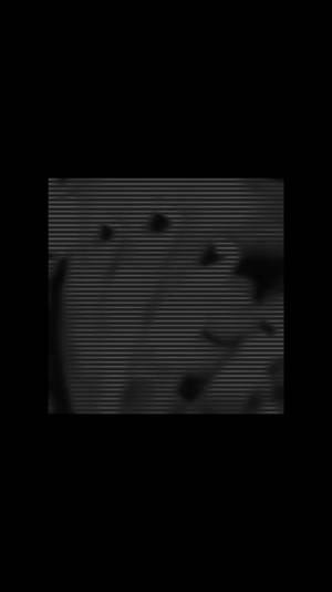 Grunge Negle Alternativ Æstetik — Alternativ æstetik Wallpapers