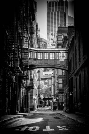 Tribeca New York Sort Hvid — Xiaomi Pad 8 Wallpapers