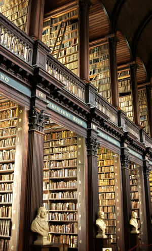 Biblioteksbilleder — Galaxy Tab A Wallpapers
