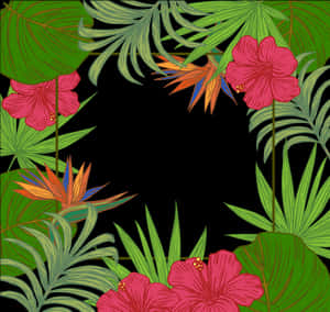 Blad Arecaceae Træ Tapet Palmer Blade Kant - Kanter Blade Grønne Med Blomster, HD Png Download