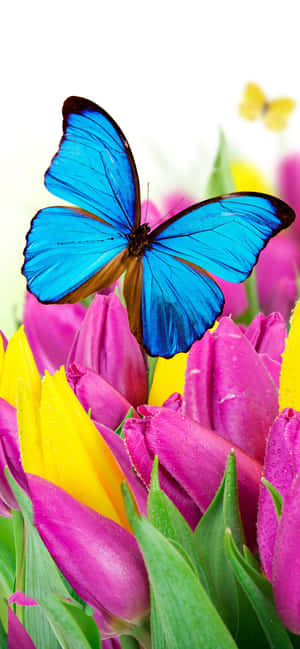 Blomster Og Sommerfugle — Galaxy S25 Wallpapers