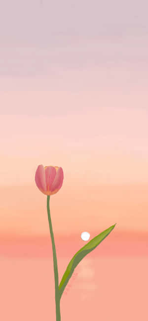 Tulipanbaggrund — Motorola ThinkPhone Wallpapers