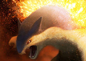 Typhlosion tæt på i HD — Anime skrivebord Wallpapers