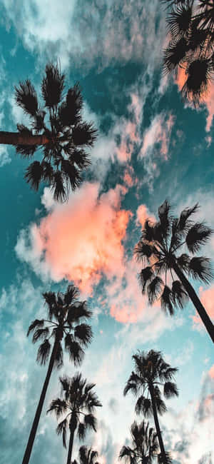 iPhone X Californien Baggrund — Galaxy M Wallpapers