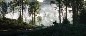 Ultrabredt skovbillede fra The Witcher 3 computerspil tapet.