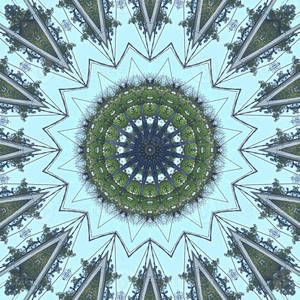 Æstetisk Trippy