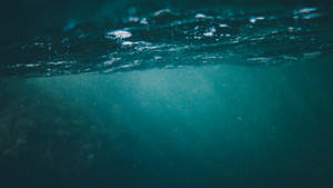 Undervandsfotografi baggrundsbillede — Pro Display XDR Wallpapers