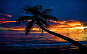 Strand solnedgang baggrund — Strandsolnedgang Wallpapers
