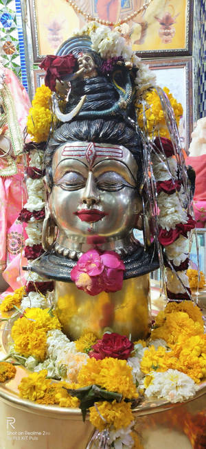 Ujjain Mahakal Gule Blomster — Galaxy S25 Edge Wallpapers