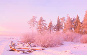 Lyserød æstetisk baggrund — Lys pink æstetik Wallpapers